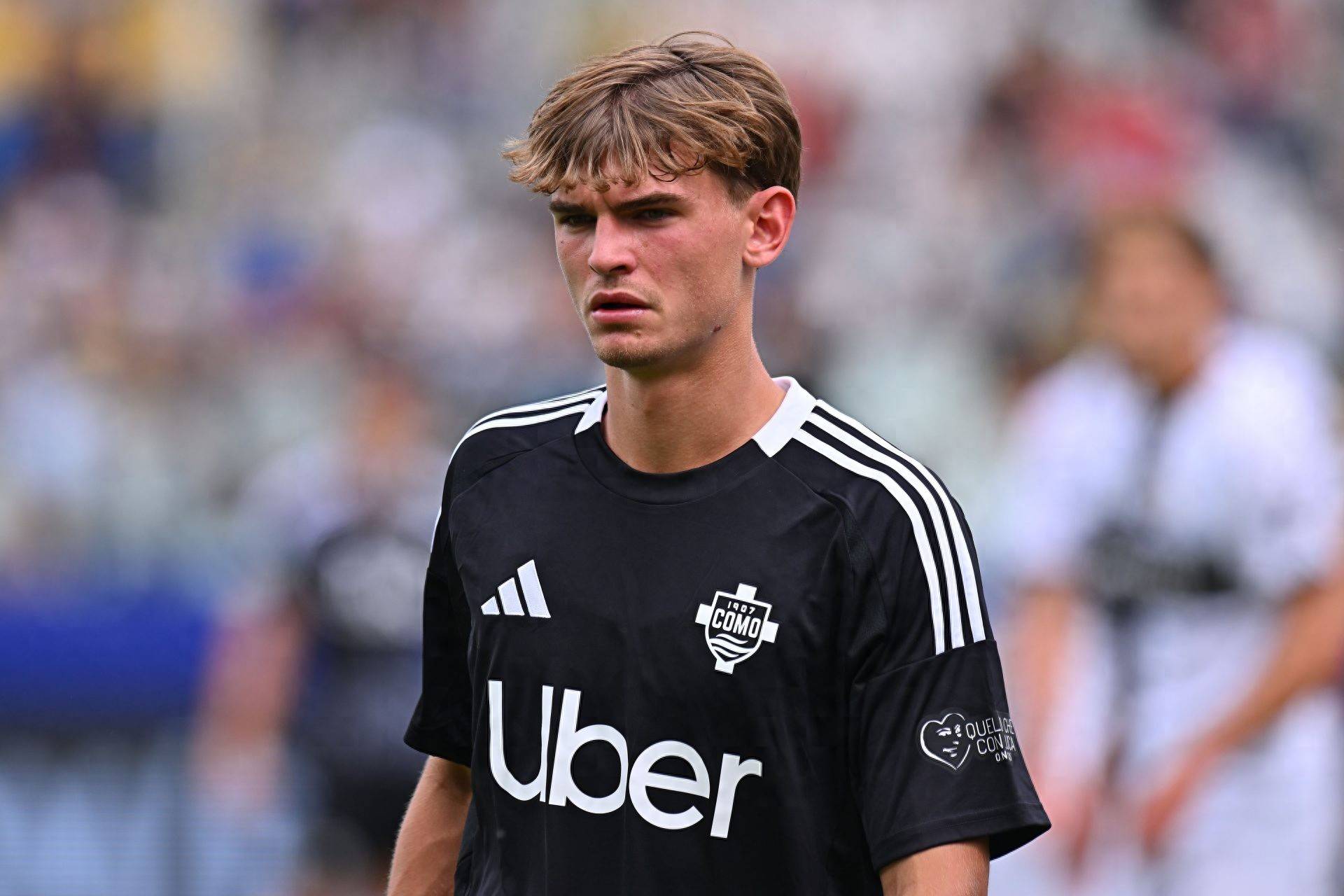 多点开花令 多点开花令